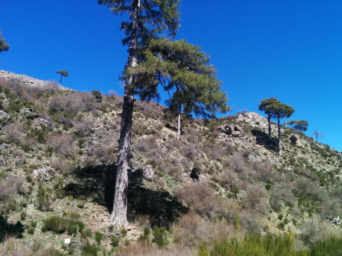 Casa Rural Curtidores El Batán Kültér fotó